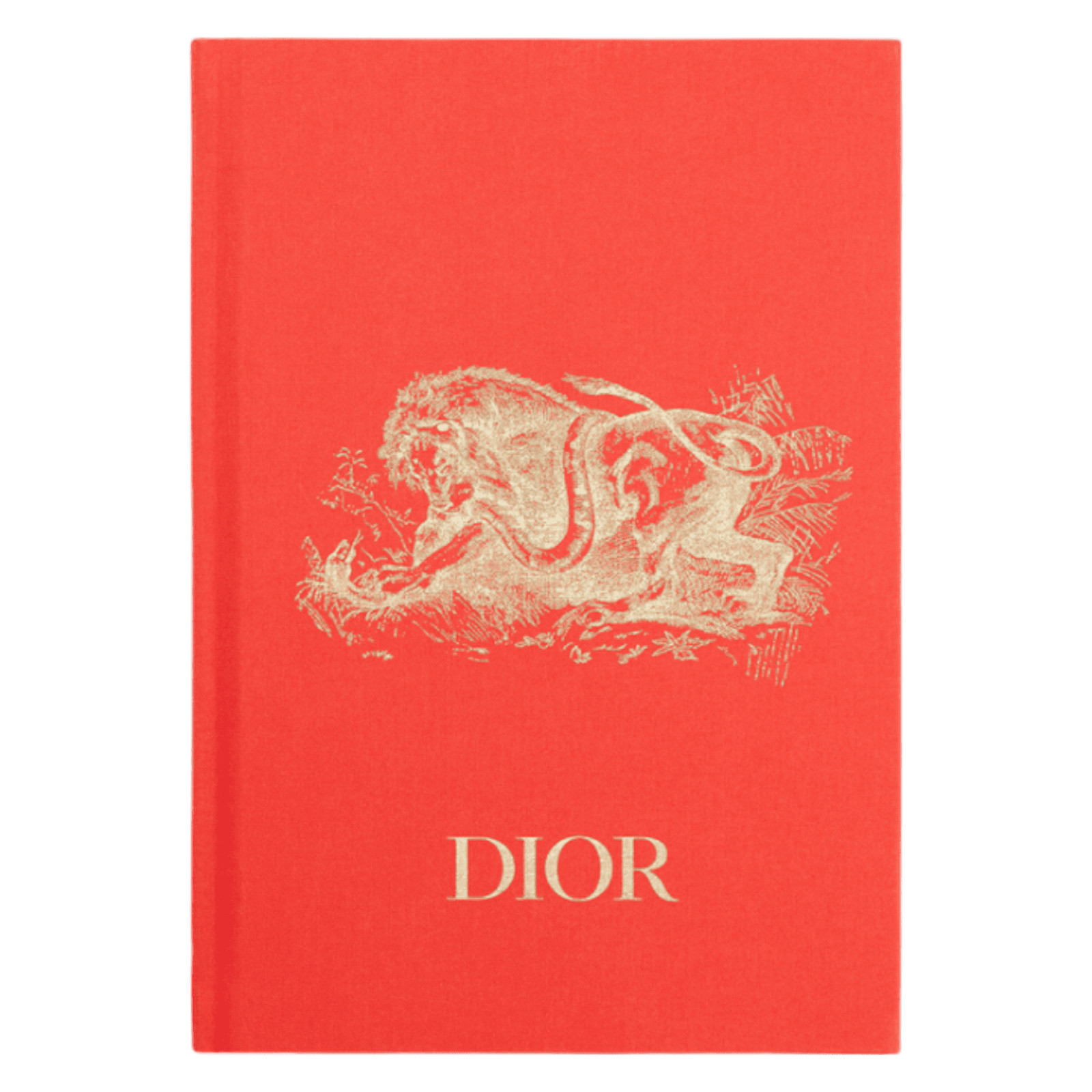 Dior notebook new arrivals