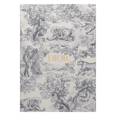 Блокнот Dior Grey Small купить в интернет-магазине Kicksmania