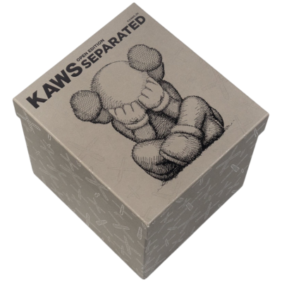 KAWS Separated Brown купить в интернет-магазине Kicksmania