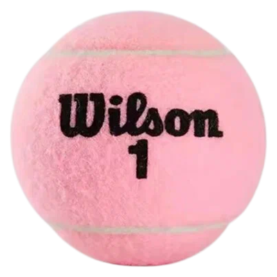 Теннисные мячи Wilson Pink 2 Pack купить в интернет-магазине Kicksmania