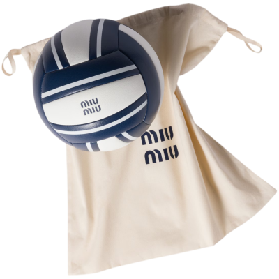 Волейбольный мяч MIU MIU купить в интернет-магазине Kicksmania