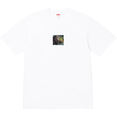 Футболка SUPREME THE EXORCIST PUKE WHITE купить в интернет-магазине Kicksmania
