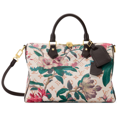 Сумка Louis Vuitton Speedy Soft 30 купить в интернет-магазине Kicksmania