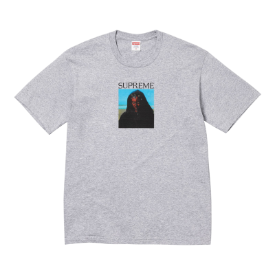 Футболка Supreme Sith Heather Grey купить в интернет-магазине Kicksmania