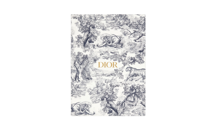 HYA02CTJ0U_C500 | Блокнот Dior Medium | Киксмания