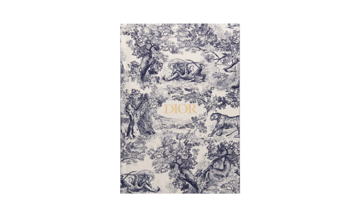 HYA02CTJ1U_C500 | Блокнот Dior Small | Киксмания
