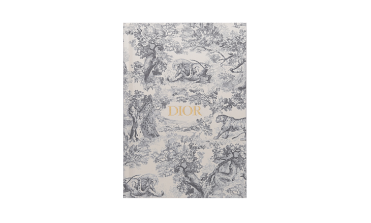 HYA02CTJ1U_C800 | Блокнот Dior Grey Small | Киксмания
